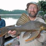 Un pez gigante que come madera es descubierto en Perú 6