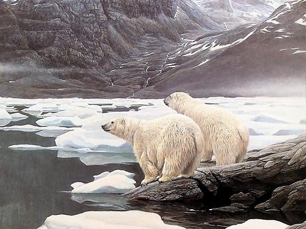 El Ártico para el 2018 sus veranos ya no tendrán hielo 7