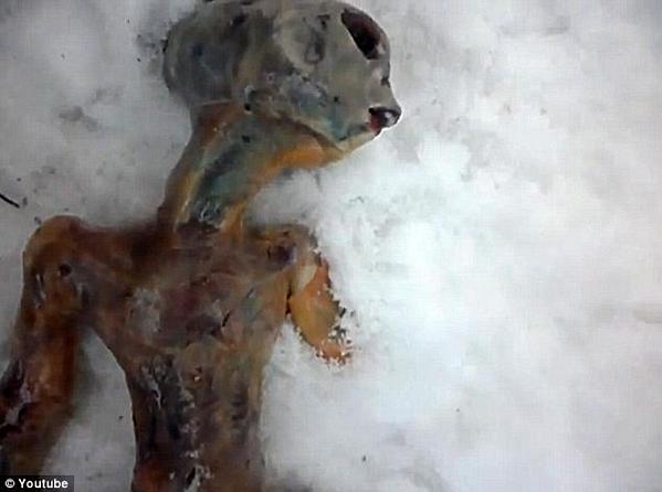 Alien hallado muerto en Rusia 1