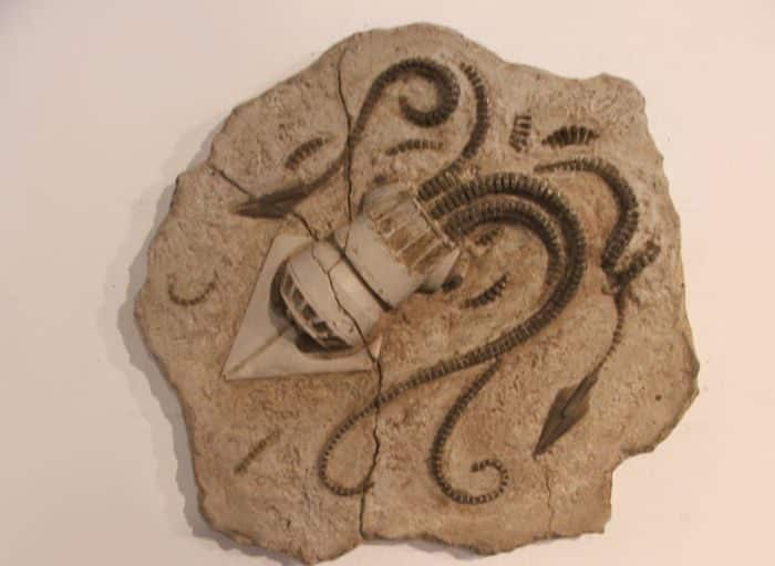 duringexcavations10-3405000