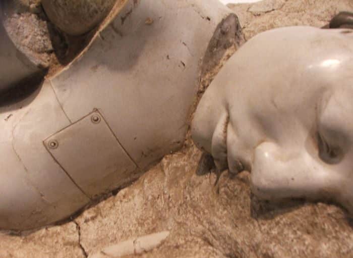 duringexcavations2-8213381