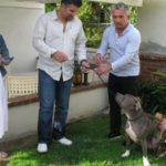 César Millán encantara perros españoles junto a famosos 9