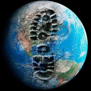 Animales y Naturaleza 14