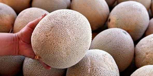 noticias muerte por melones