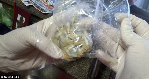 Perro se come 1000 dolares 3