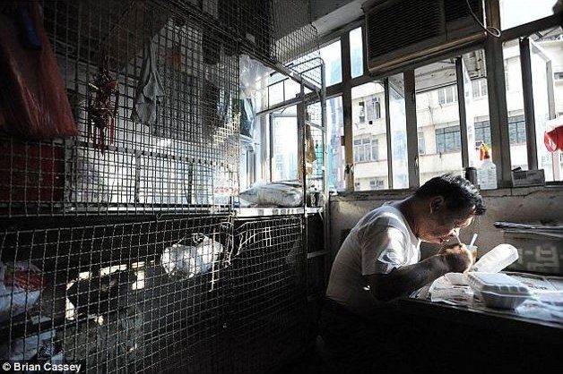 Espantosas imágenes - Pobres de Hong Kong viven en jaulas para animales 5