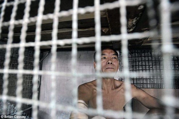 Espantosas imágenes - Pobres de Hong Kong viven en jaulas para animales 6