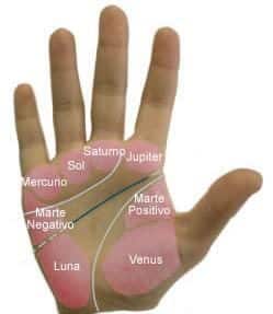 noticias cómo leer tus manos 
