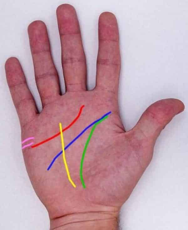 noticias cómo leer tus manos 