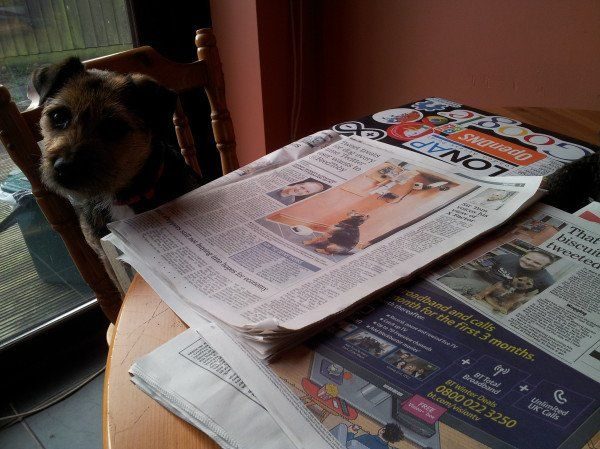 El perro que se alimenta por Twitter @FeedToby 6