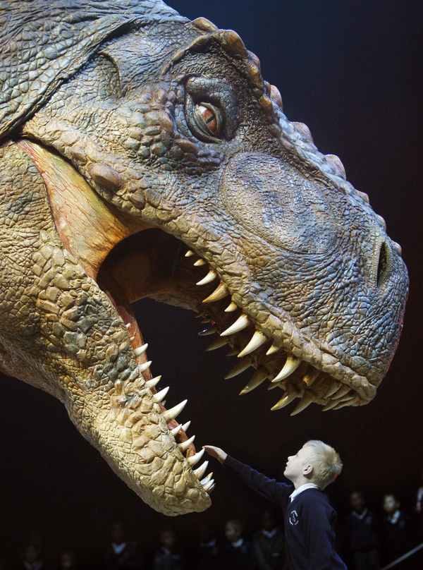 noticias el Tiranosaurio rex poseía el mordisco más potente de todos los tiempos
