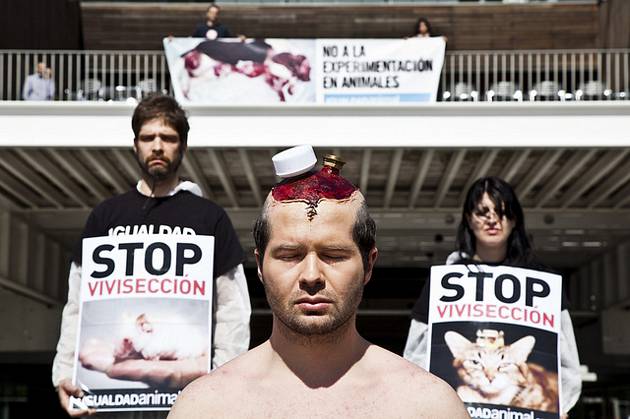 Humane Society International y cosméticos Lush lanzan impactante campaña animalista 6 Humane Society International y cosméticos Lush lanzan impactante campaña animalista 7