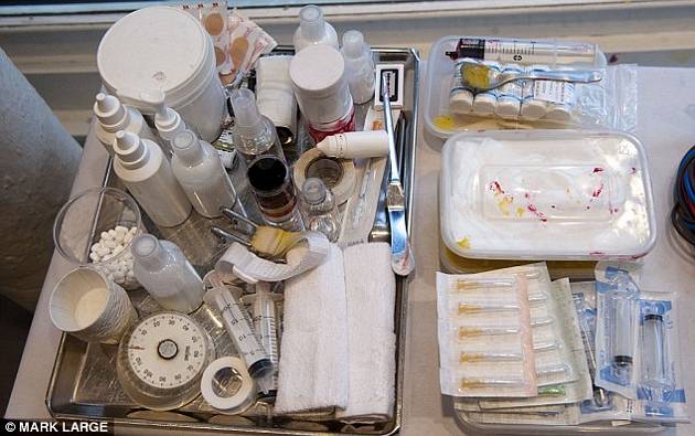 Humane Society International y cosméticos Lush lanzan impactante campaña animalista 10 Humane Society International y cosméticos Lush lanzan impactante campaña animalista 11