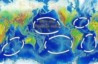 noticias El séptimo continente existe: es un basurero flotante de plástico más grande que España