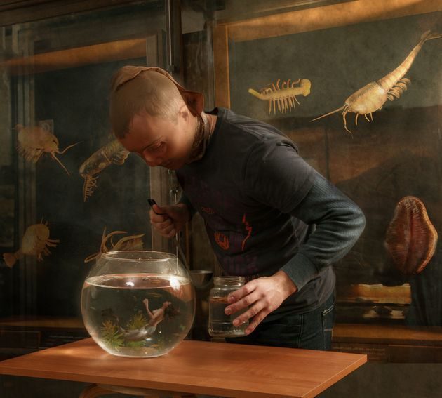 4353366large-7000981