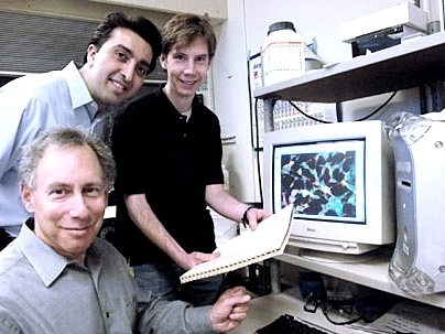 Desarrollan el primer nanomedicamento para tratar el cáncer en humanos 3