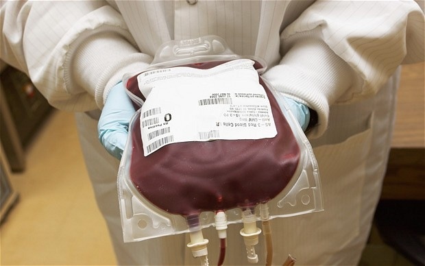 Dinero a los desempleados por donar sangre en España 1