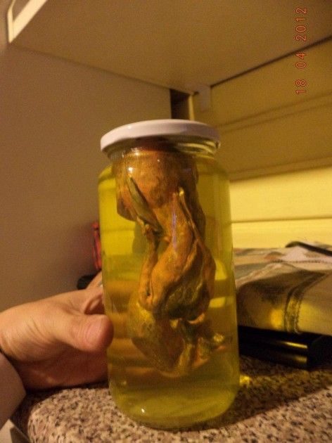 Hallan en chile extraña "criatura extraterrestre" 3 noticias Hallan en chile extraña "criatura extraterrestre"