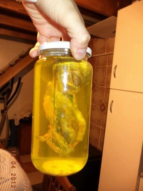 Hallan en chile extraña "criatura extraterrestre" 5 noticias Hallan en chile extraña "criatura extraterrestre"