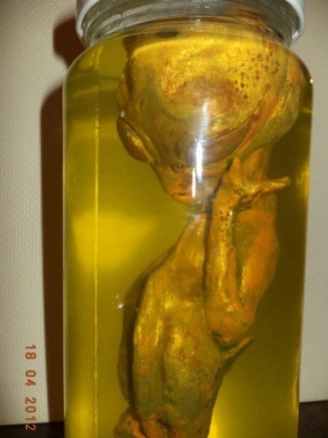 Hallan en chile extraña "criatura extraterrestre" 6 noticias Hallan en chile extraña "criatura extraterrestre"