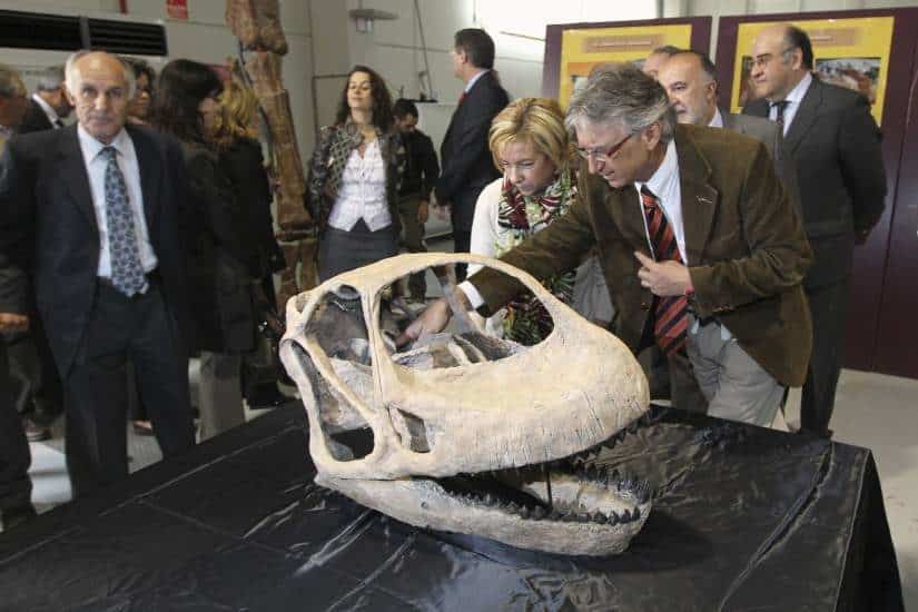noticias Hallan el cráneo del dinosaurio más grande de Europa 