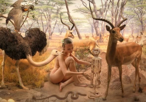 juliaepsilondelta6-1256642