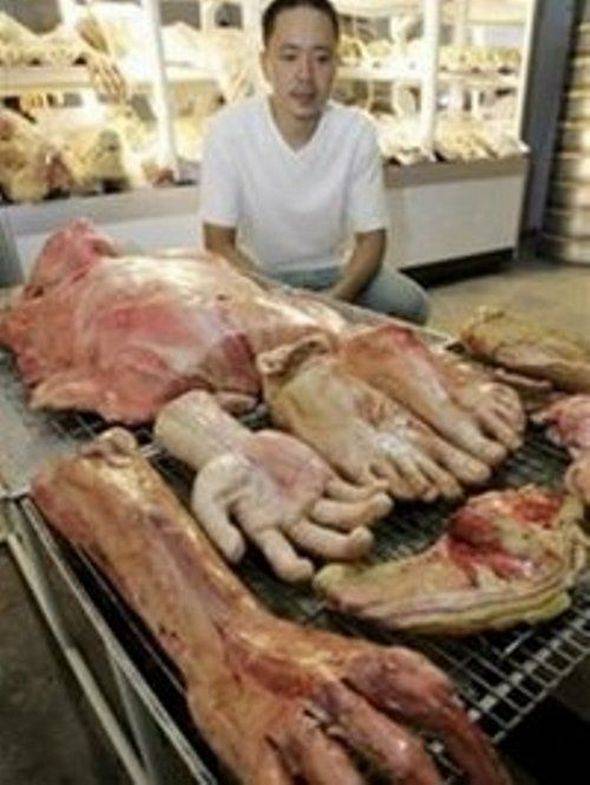 El pan del Horror, vende panes en forma miembros humanos 9