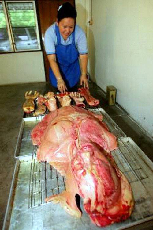 El pan del Horror, vende panes en forma miembros humanos 15