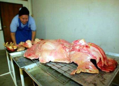 El pan del Horror, vende panes en forma miembros humanos 16