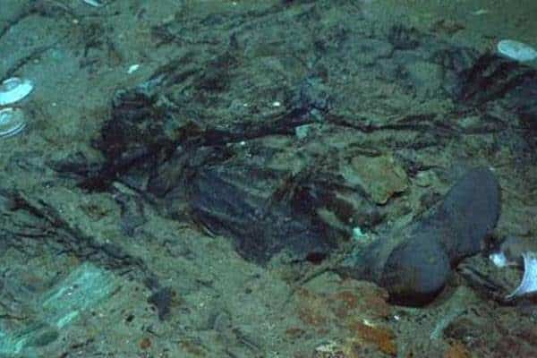 noticias restos humanos del Titanic 