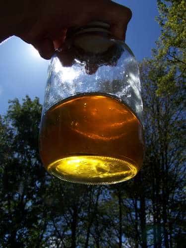 Como hacer biodiesel casero con aceite usado paso a paso 9