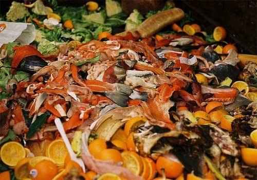 Un tercio de los alimentos del mundo va a la basura 1 Un tercio de los alimentos del mundo va a la basura 2