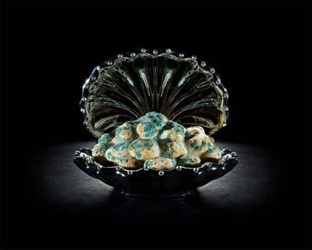 Un tercio de los alimentos del mundo va a la basura 2 noticias Un tercio de los alimentos del mundo va a la basura