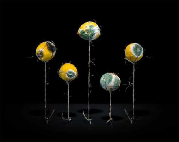 Un tercio de los alimentos del mundo va a la basura 4 noticias Un tercio de los alimentos del mundo va a la basura