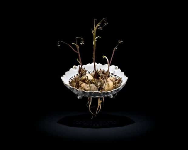 Un tercio de los alimentos del mundo va a la basura 8 noticias Un tercio de los alimentos del mundo va a la basura