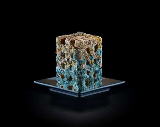 Un tercio de los alimentos del mundo va a la basura 9 noticias Un tercio de los alimentos del mundo va a la basura