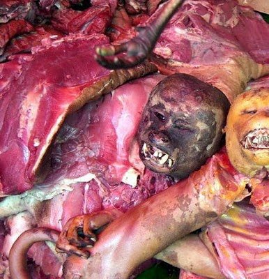 El consumo de carne de mono en África Comer Carne Mono