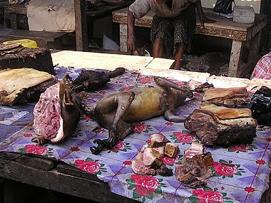 El consumo de carne de mono en África Comer Carne Mono