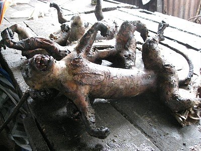 ▷ El consumo de carne de mono en África ? 4 Comer Carne Mono