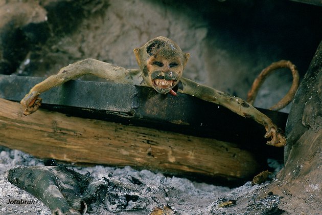 ▷ El consumo de carne de mono en África ? 6 Comer Carne Mono