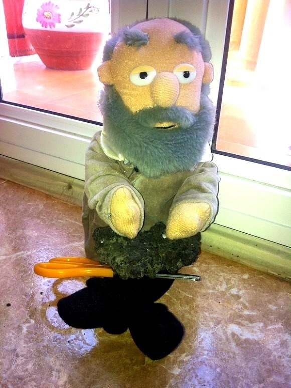 Carta de un profesor recortado 1 Carta de un profesor recortado 2