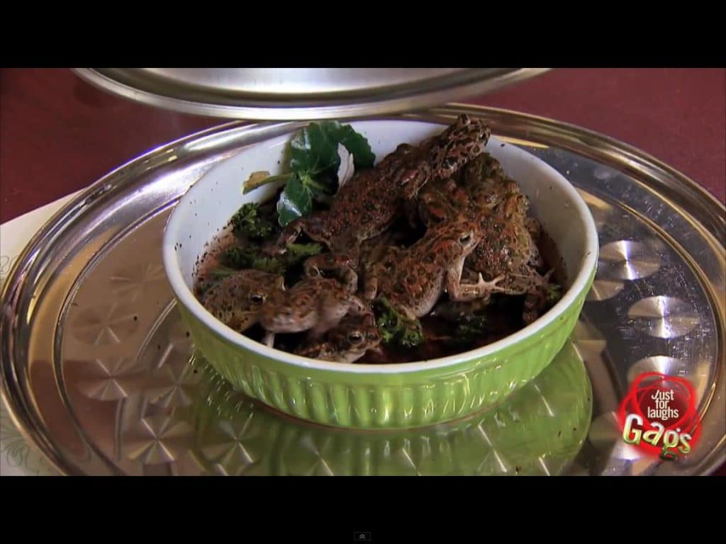 Ranas vivas para cenar 1