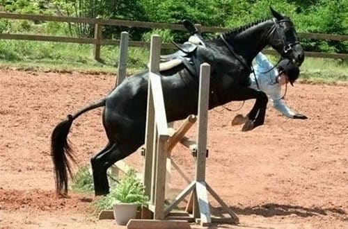 Las 20 mejores fotos con los 20 peores finales 16 noticias Las 20 mejores fotos con los 20 peores finales