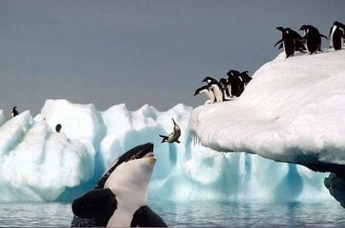 Las 20 mejores fotos con los 20 peores finales 6 noticias Las 20 mejores fotos con los 20 peores finales