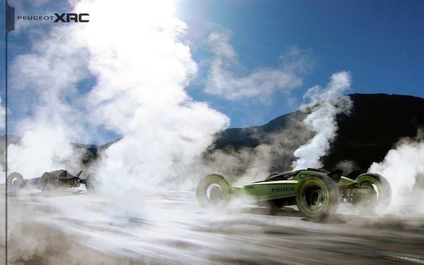 Peugeot XRC Concept Car 16
