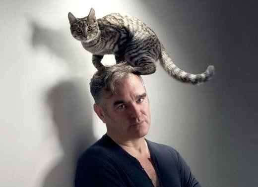 Morrissey con un gato en la cabeza por PETA 1 Morrissey con un gato en la cabeza por PETA 2