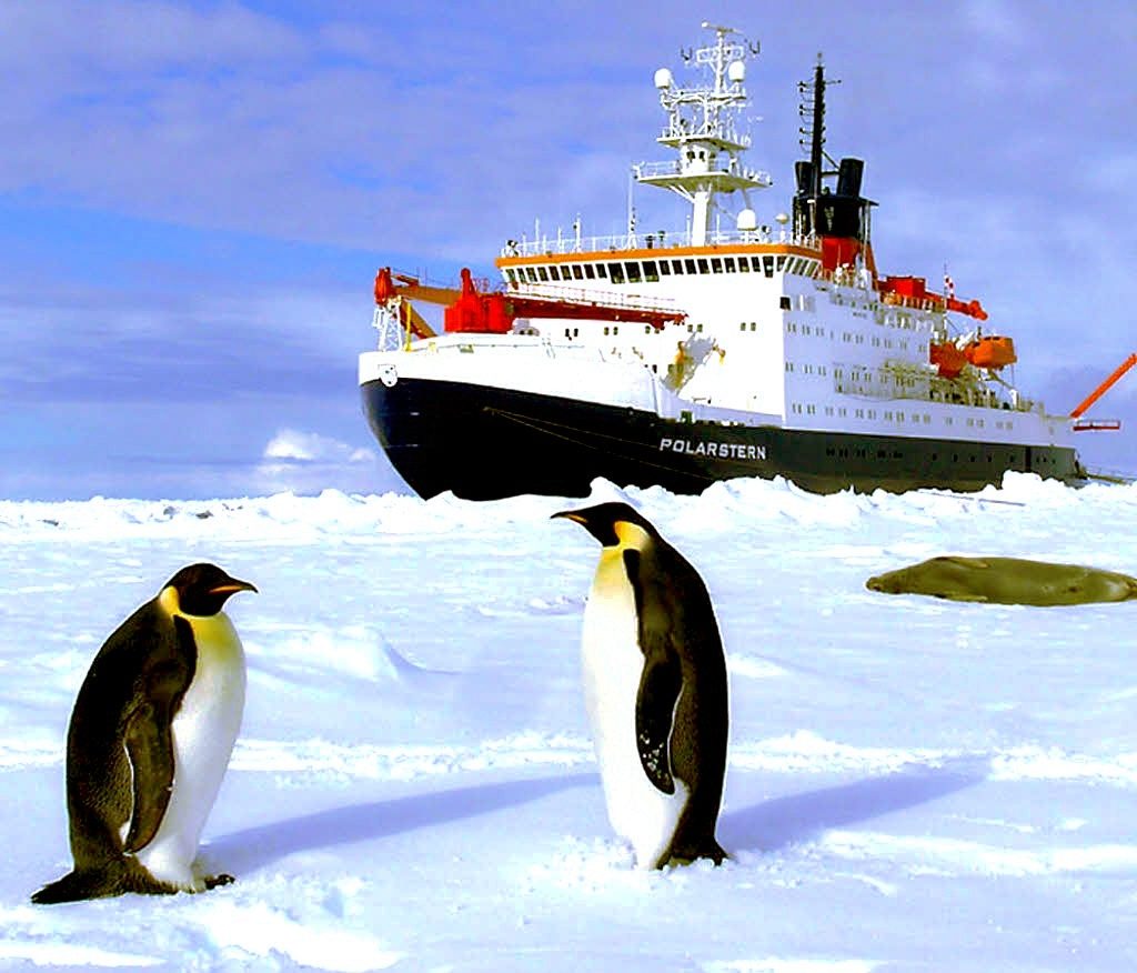 Fertilizar el océano con hierro para combatir el cambio climático 1