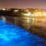 Una misteriosa luz azul aparece en playas de California 8