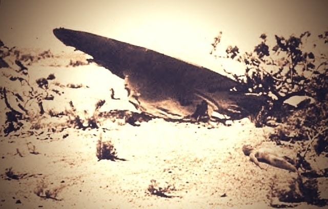 Agente de la CIA revela y confirma que el ovni de Roswell no era de este planeta 1 Agente de la CIA revela y confirma que el ovni de Roswell no era de este planeta 2