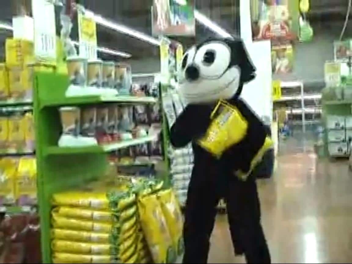 Así compran pienso los gatos (Rémi GAILLARD) 1 Así compran pienso los gatos (Rémi GAILLARD) 2